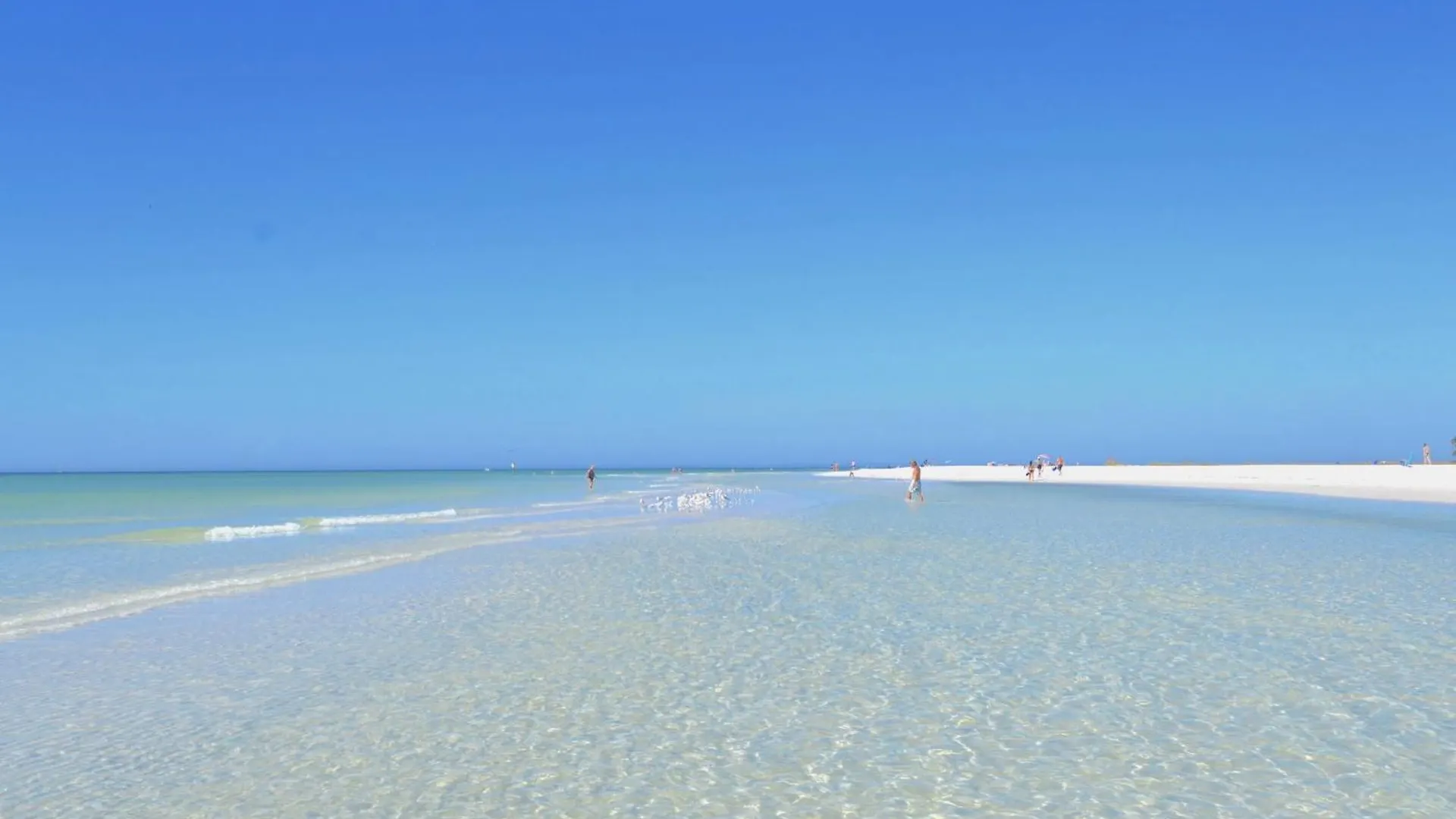 Apartment Private Patio, Walk To All! 5min- Siesta Keys Beach, 1min- Shopping Dining & Entertainment! *