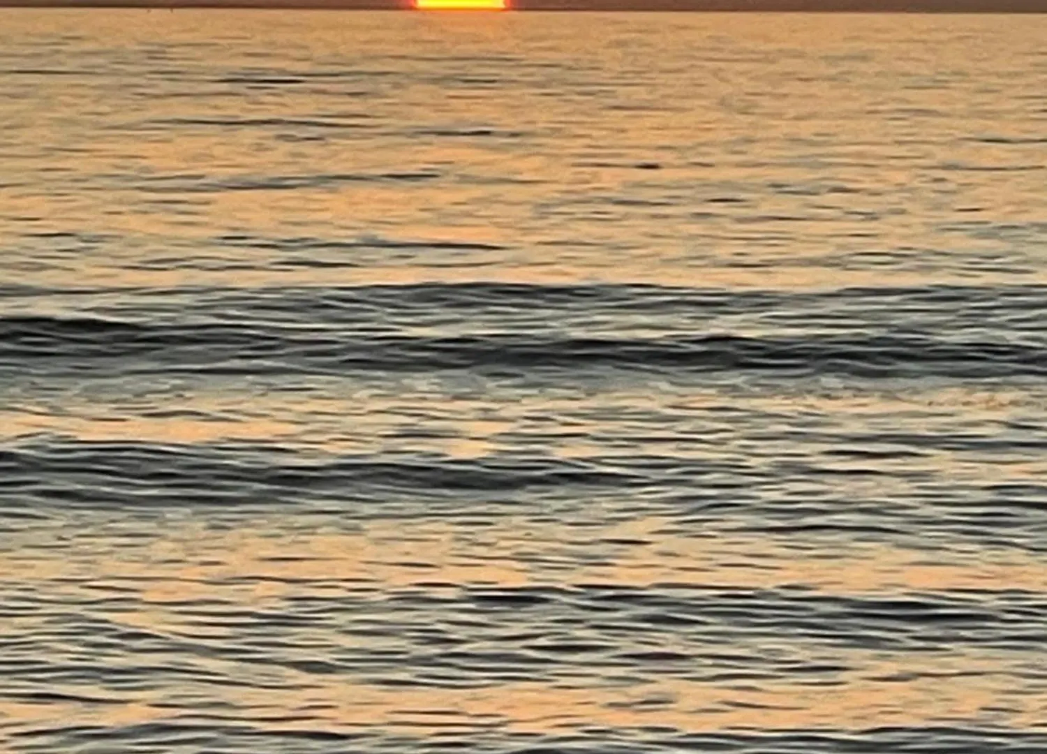 Sea Crest *