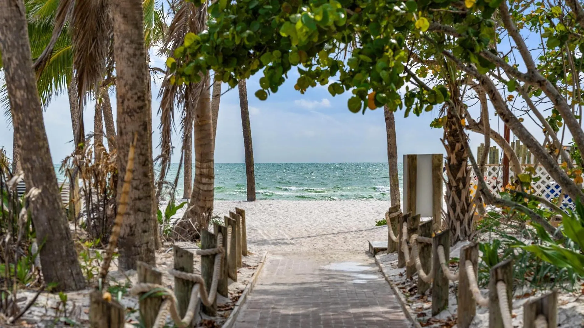 Tropical - Sarasota Siesta Key