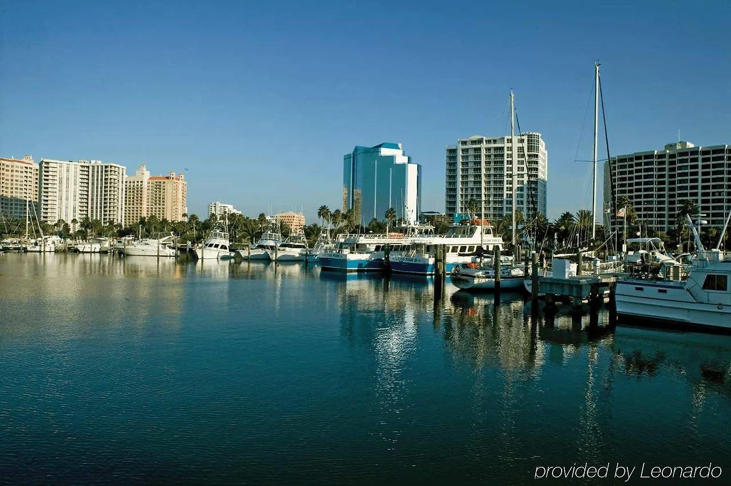 Hilton Garden Sarasota-bradenton Airport Сарасота