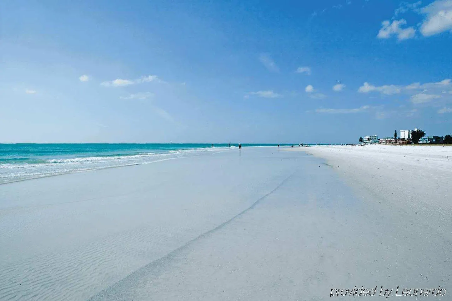 Hilton Garden Sarasota-bradenton Airport Сарасота