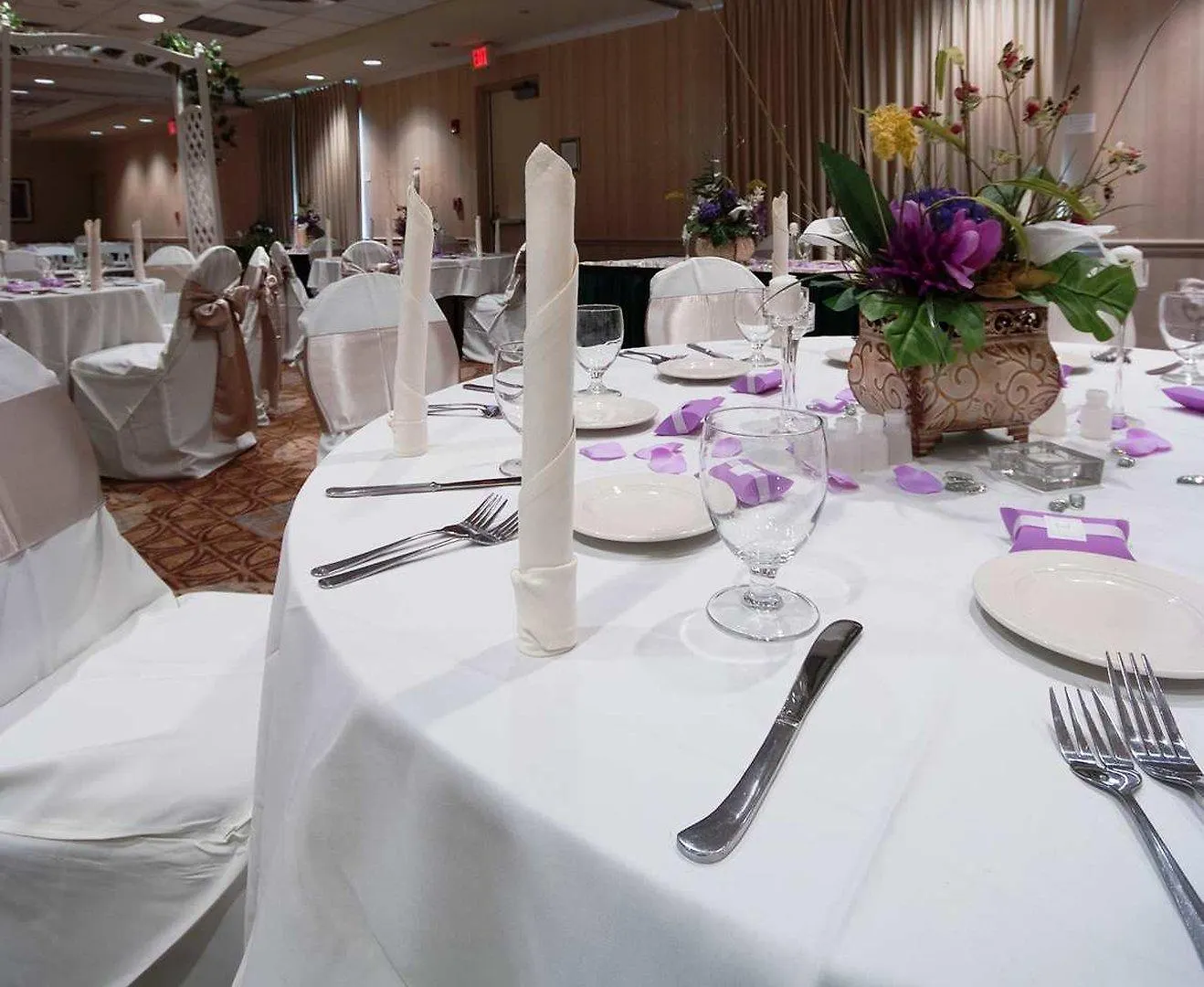 Hilton Garden Sarasota-bradenton Airport