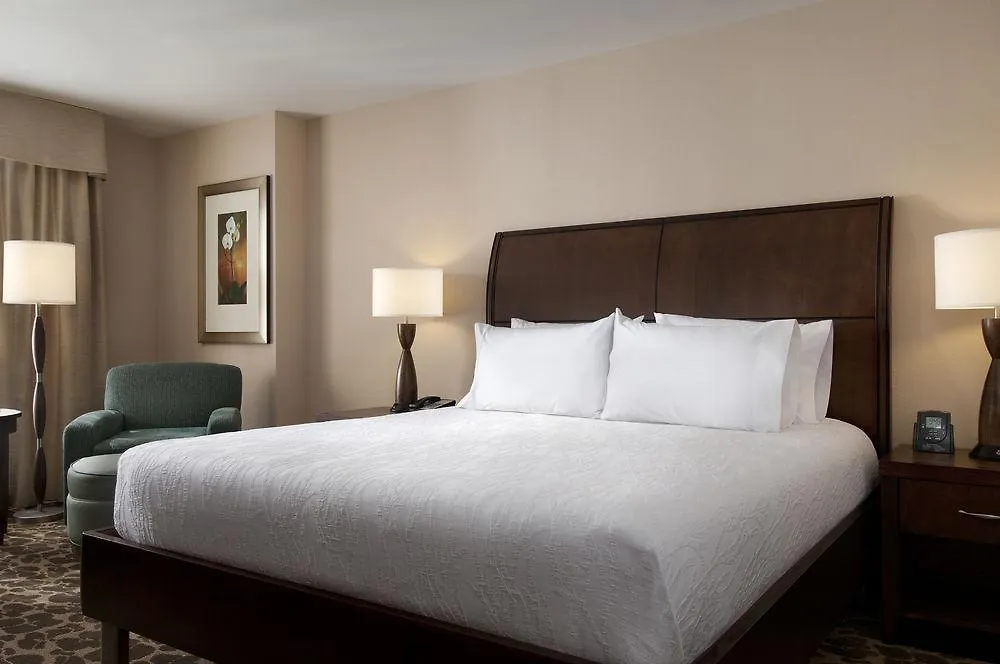 Hilton Garden Sarasota-bradenton Airport Отель 3*