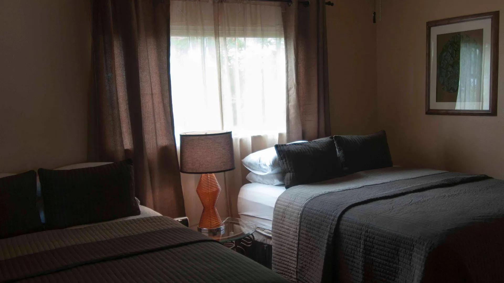 Motel Hibiscus - Sarasota