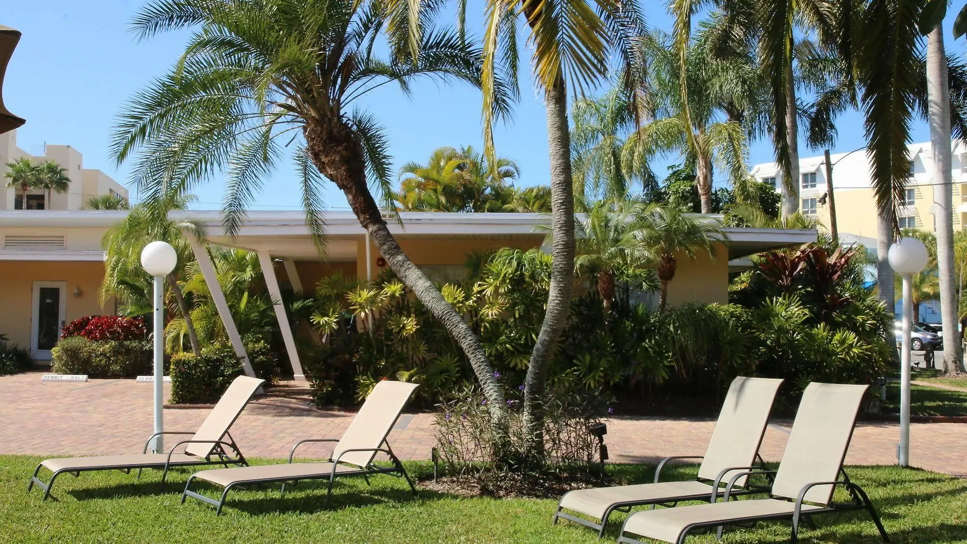 Tropical - Sarasota Cayo Siesta