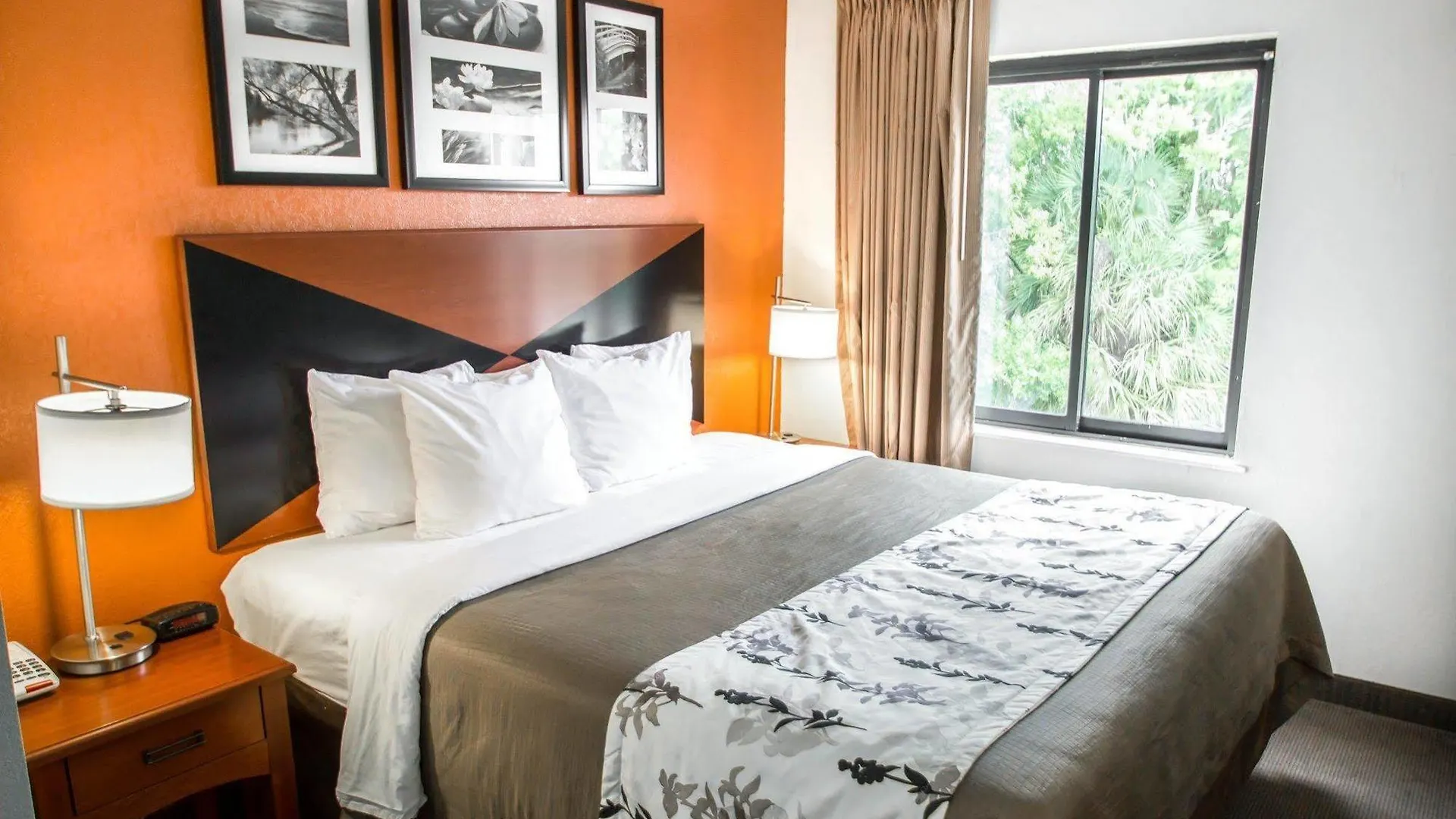 Sleep North Inn 2*