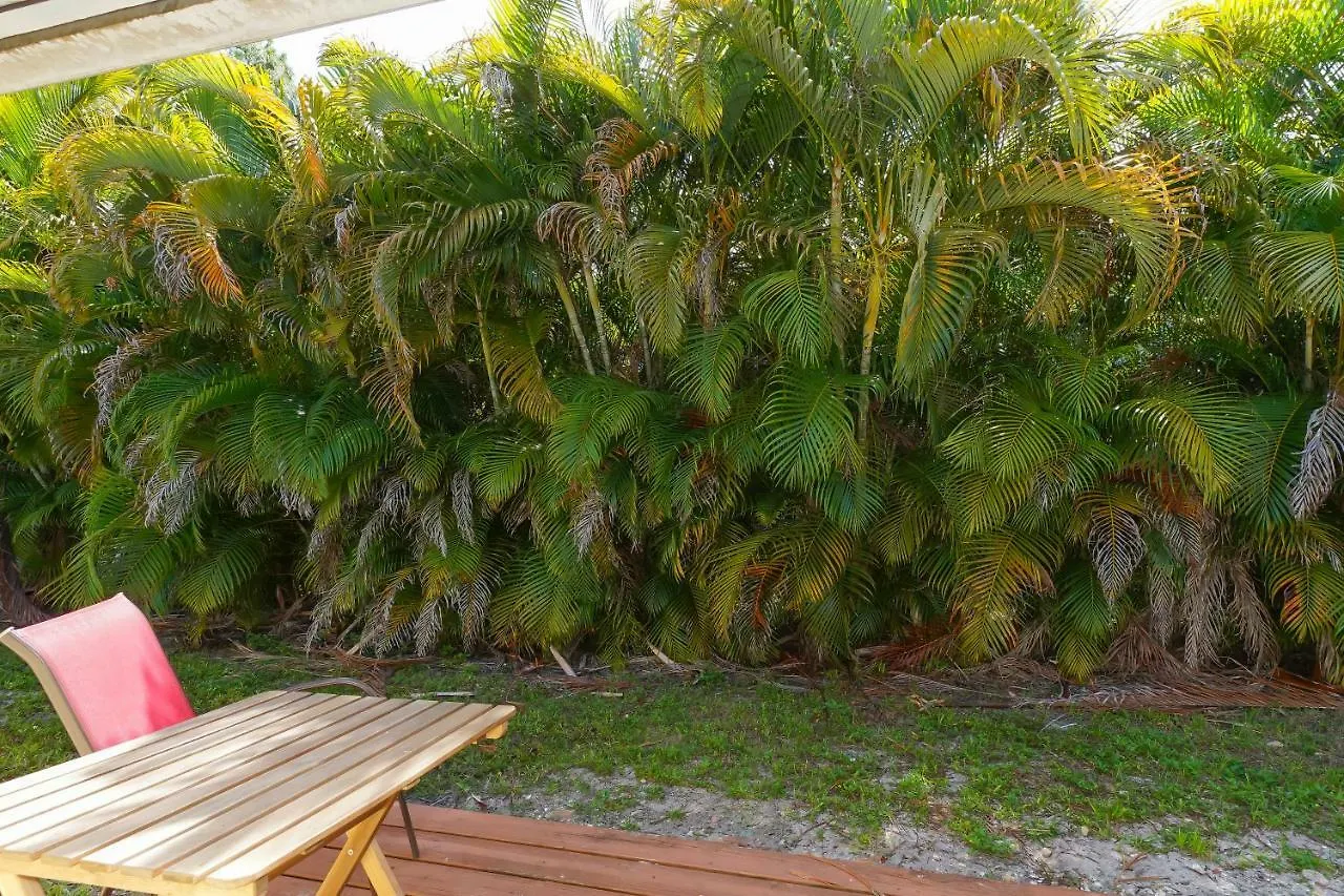 Tropical Fruit Garden * Sarasota