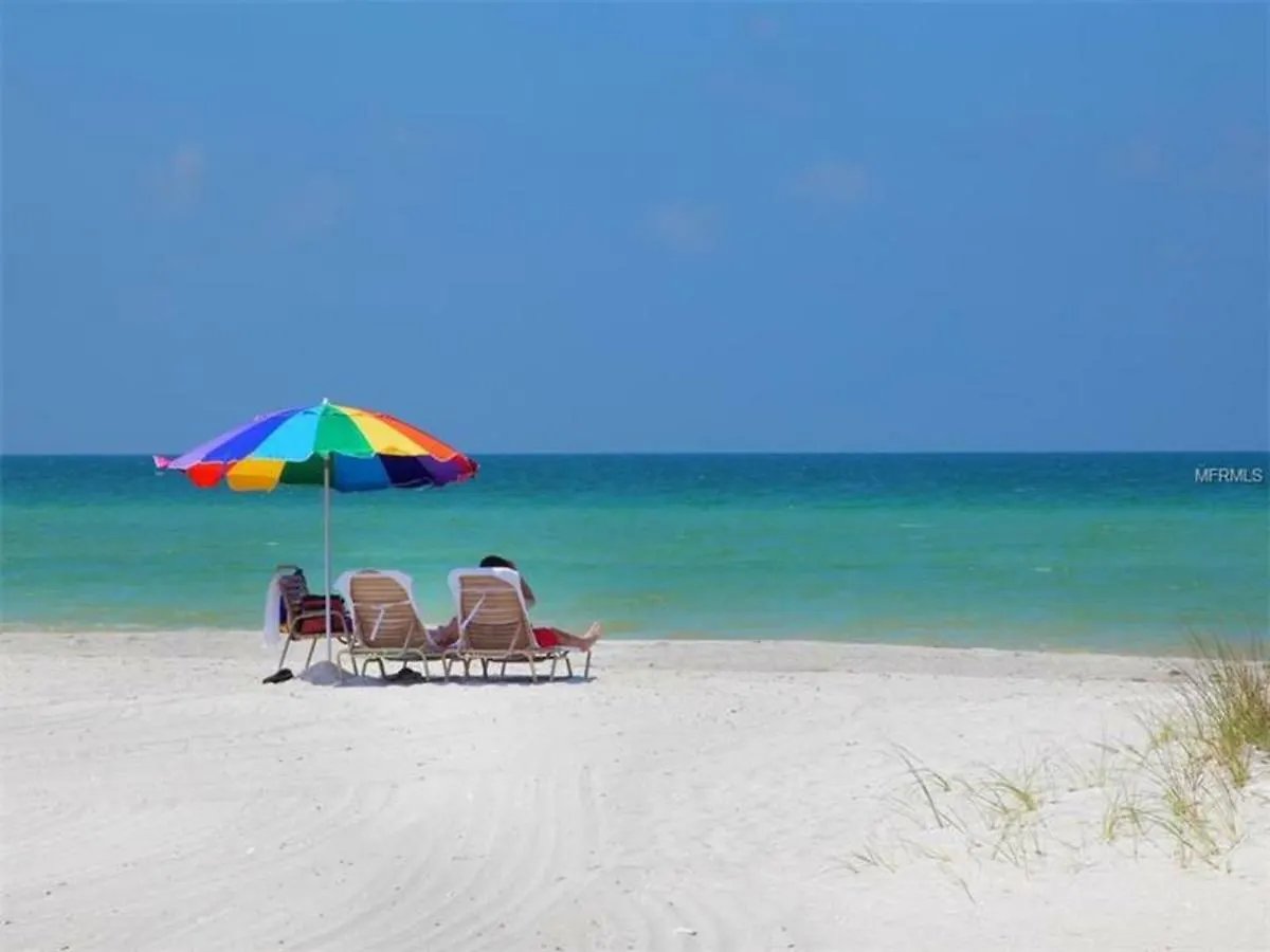 Shell 209 Sarasota